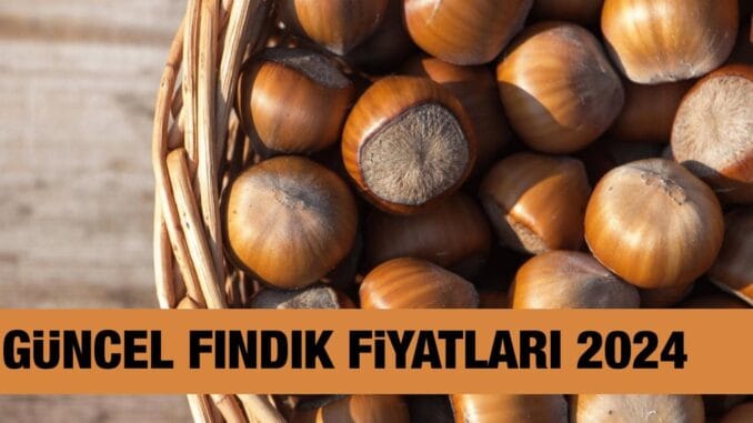 20242025-sezonu-guncel-findik-fiyatlari-ve-faydalari-ctOhMlsg.jpg