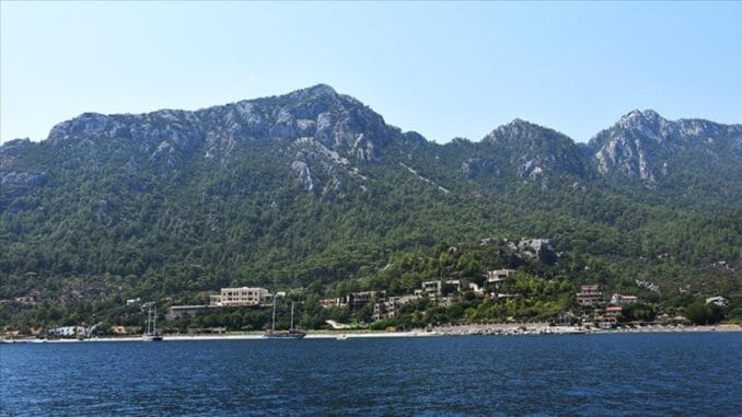 orman-genel-mudurlugunden-yeni-yonetmelik-ile-orman-koruma-onlemleri-8fKnhfnX.jpg