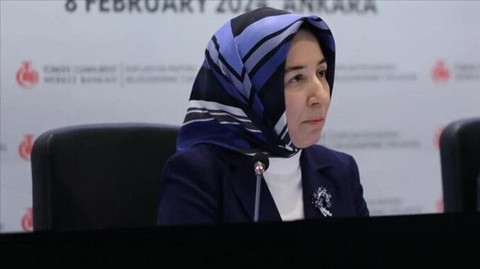 tcmb-baskan-yardimcisi-hatice-karahandan-para-politikasi-ve-enflasyon-aciklamalari-n2XDem4A.jpg